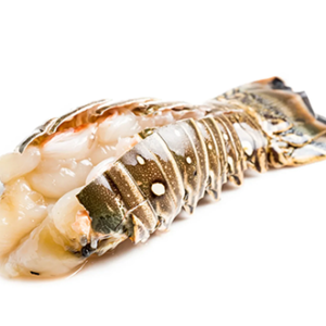 Lobster Tails (Frozen) Sold per pound